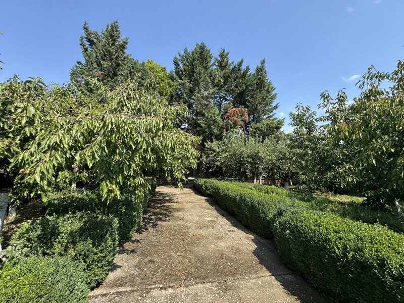 Izvorani - Snagov
